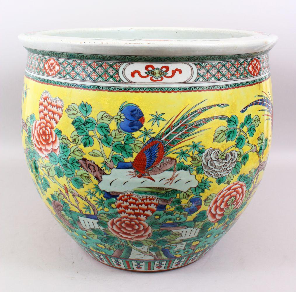 A GOOD 19TH CENTURY CHINESE YELLOW GROUND FAMILLE ROSE: A GOOD 19TH CENTURY CHINESE YELLOW GROUND FAMILLE ROSE PORCELAIN FISH BOWL / JARDINERE, the sides of the bowl decorated upon a yellow ground to depict peacocks amongst native flora, with surrounding d