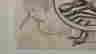 item-75994020=4