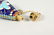 A SMALL RUSSIAN ENAMEL SCENT BOTTLE. 2.5ins. - 6