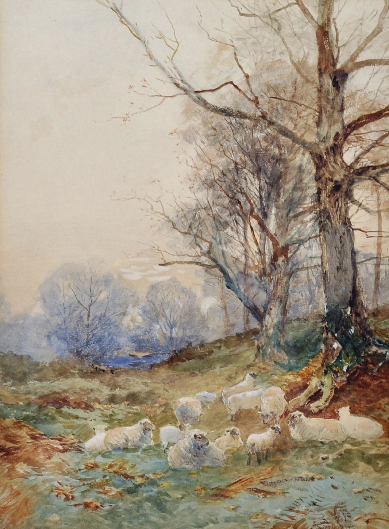David Bates (1840-1921) British. "Evening, Forest of: David Bates (1840-1921) British. "Evening, Forest of Dean", with Sheep by a Tree, Watercolour, Signed, and Inscribed on the mount, 13.5" x 10".