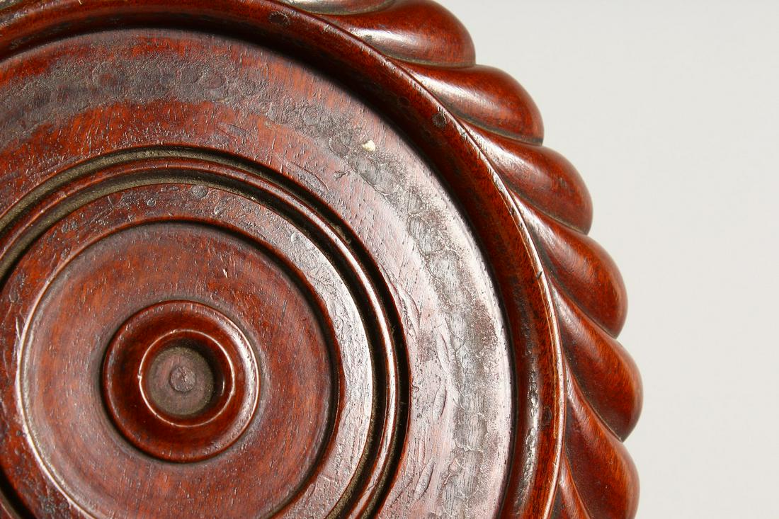 A 19TH CENTURY TURNED AND CARVED MAHOGANY CIRCULAR: A 19TH CENTURY TURNED AND CARVED MAHOGANY CIRCULAR CHEESE COASTER/STAND, on three brass and mahogany castors. 9.25ins diameter.