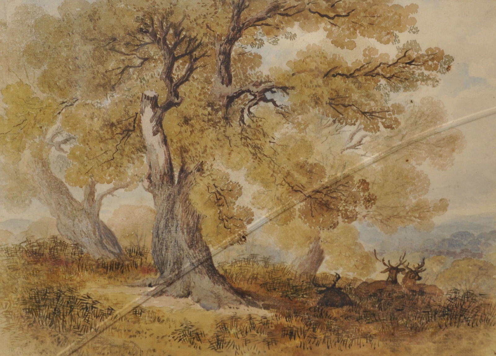 Circle of Robert Hills (1769-1844) British. "Deer in: Circle of Robert Hills (1769-1844) British. "Deer in Windsor Park", Watercolour, Indistinctly Inscribed, and Inscribed on the reverse, 10.75" x 15".