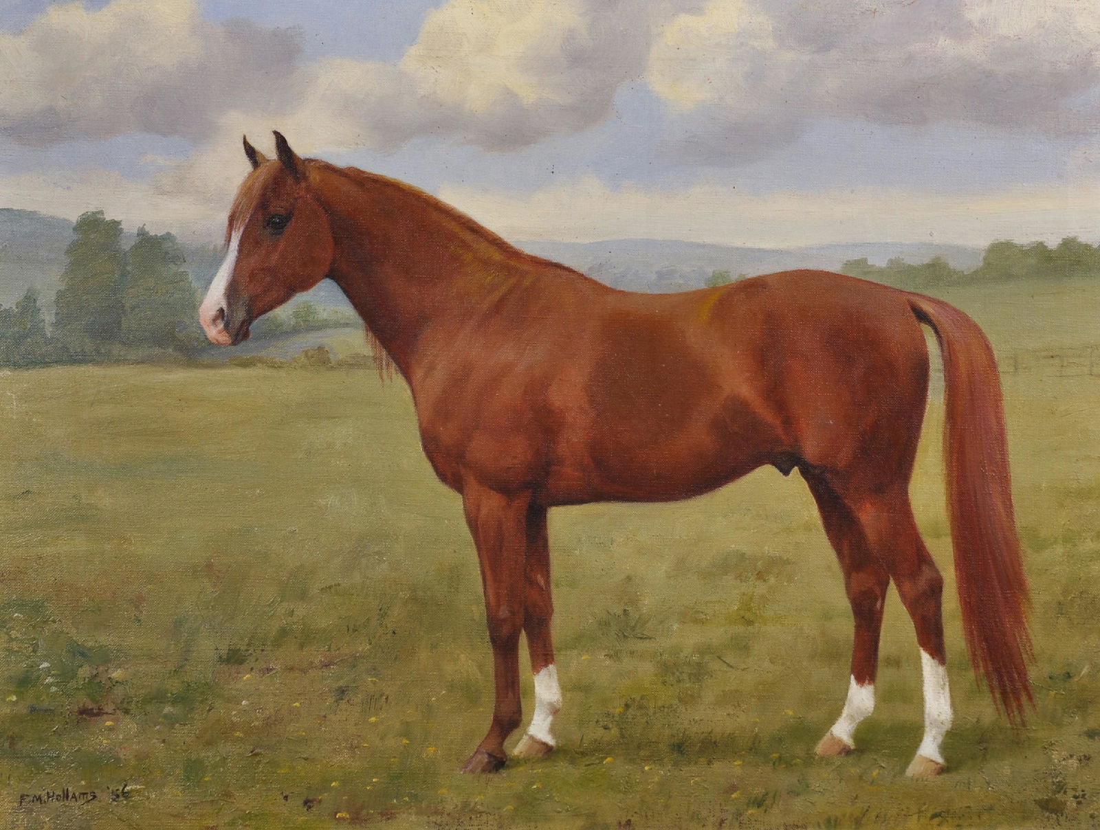 Frances Mabel Hollams (1877-1963) British. A Chestnut: Frances Mabel Hollams (1877-1963) British. A Chestnut Arab, in a Field, Oil on Canvas, Signed and Dated '56, 18" x 24".