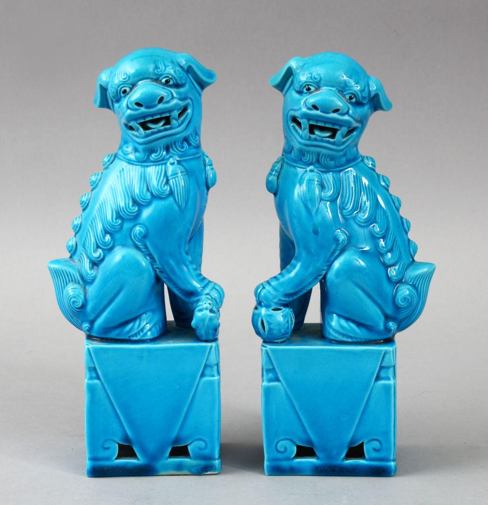 A PAIR OF 20TH CENTURY CHINESE TURQUOISE GLAZED FOO DOG (1 of 4)