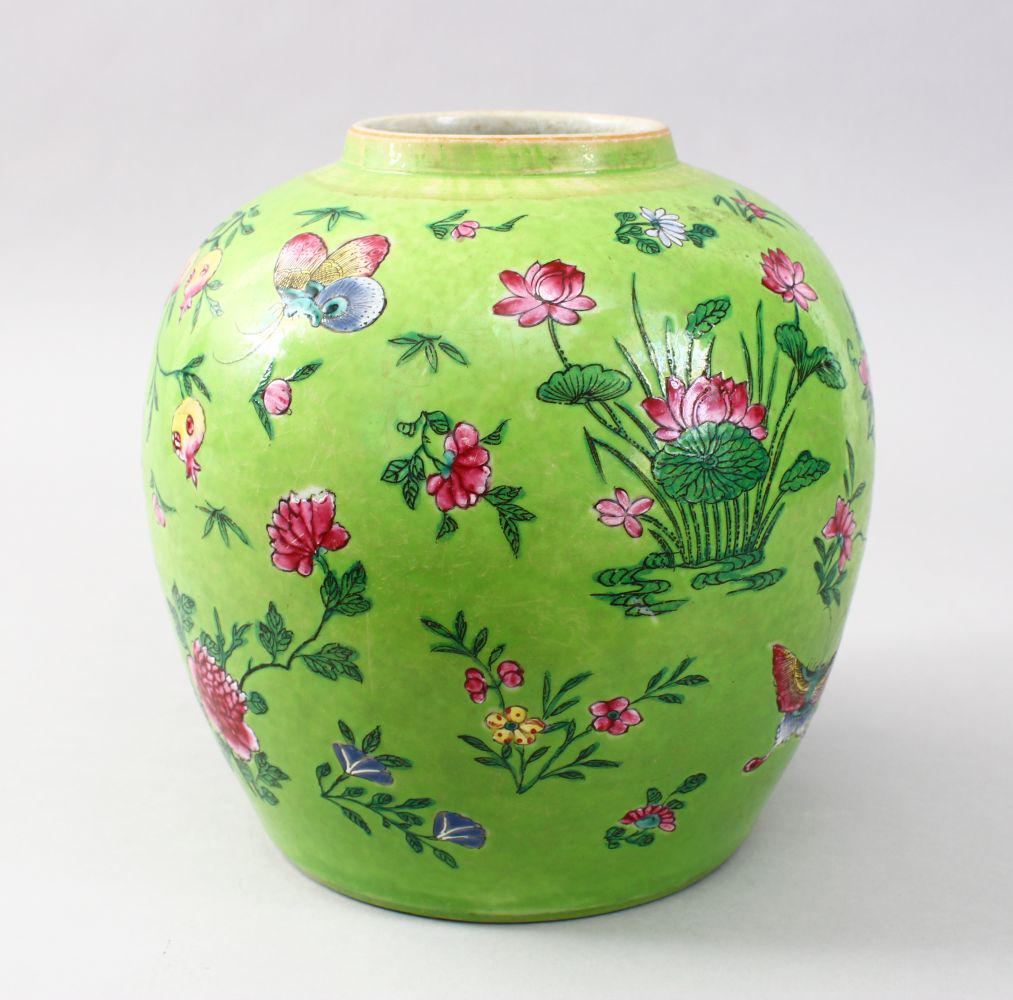 A GOOD CHINESE QIANLONG APPLE GREEN GROUND FAMMILE ROSE: A GOOD CHINESE QIANLONG APPLE GREEN GROUND FAMMILE ROSE PORCELAIN JAR, the green ground decorated with pomegranate and butterfly decoration, 23cm high