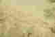 item-90728970=2