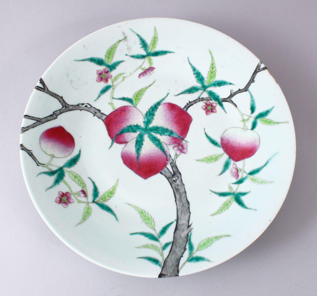 A GOOD 19TH / 20TH CENTURY CHINESE FAMILLE ROSE: A GOOD 19TH / 20TH CENTURY CHINESE FAMILLE ROSE PORCELAIN PEACH DISH, decorated with five peaches upon branches, the base with a red seal mark, 35cm.