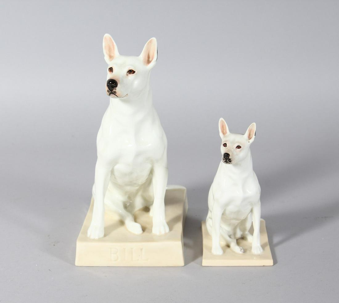 A RARE ROYAL WORCESTER BULL TERRIER, modelled by DORIS: A RARE ROYAL WORCESTER BULL TERRIER, modelled by DORIS LINDNER, inscribed BILL, and SMALLER VERSION. 5ins high (2).