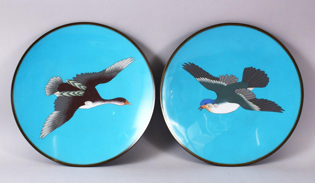 A PAIR OF JAPANESE MEIJI PERIOD CLOISONNE DUCK PLATES / (1 of 4)