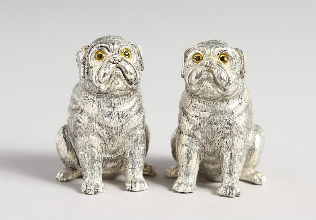 A PAIR OF 800 PUG DOGS SALT AND PEPPERS: A PAIR OF 800 PUG DOGS SALT AND PEPPERS