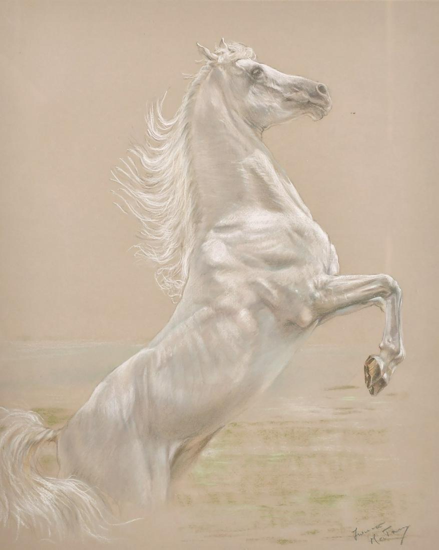 Franco Matania (1922-2006) Italian, A pastel study of a: Franco Matania (1922-2006) Italian, A pastel study of a horse, signed and dedicated by the artist verso, 22" x 18" (56 x 46 cm).