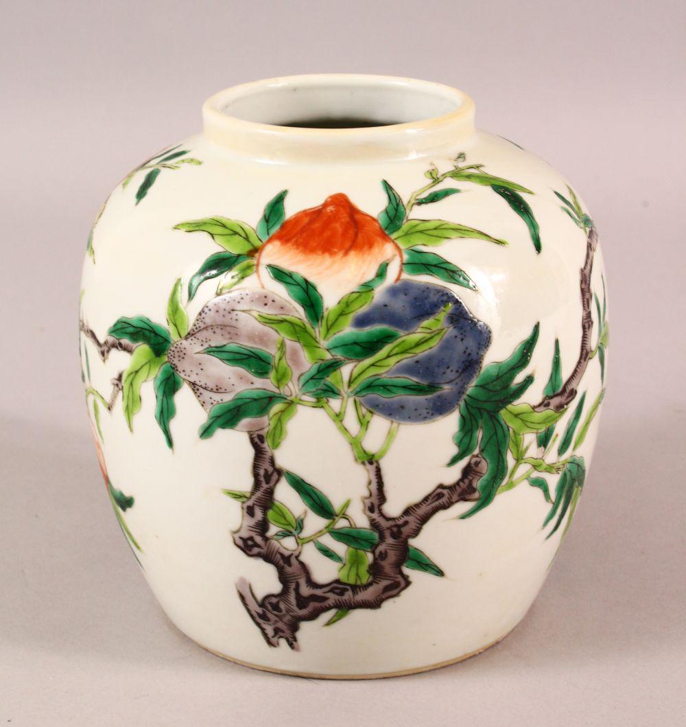 A CHINESE DOUCAI DECORATED PORCELAIN GINGER JAR - (1 of 6)