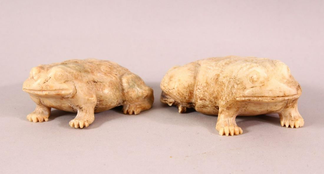 A PAIR OF CHINESE 19TH / 20TH CENTURY CARVED SOAPSTONE: A PAIR OF CHINESE 19TH / 20TH CENTURY CARVED SOAPSTONE FROGS, the opposing pair in a recumbent pose, with a detailed carved back and feet 10cm & 8cm