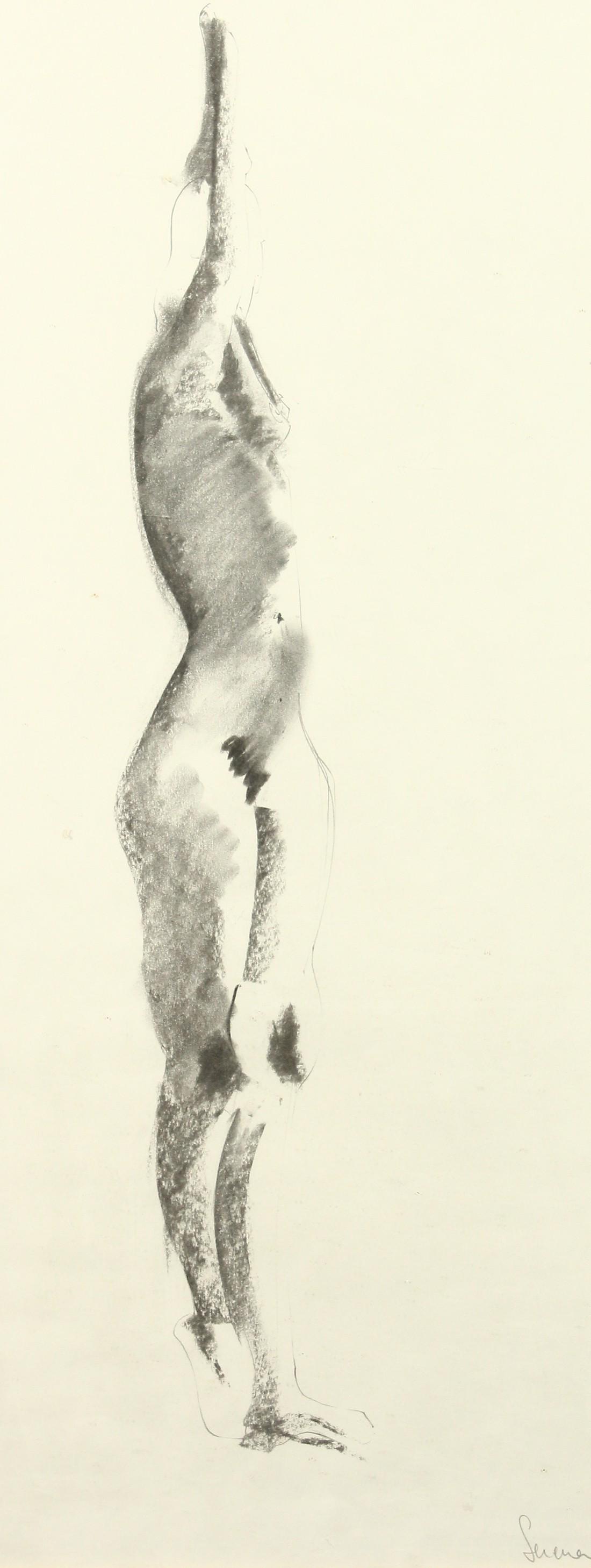 'Serena', 20th Century, A female nude, charcoal, 30" x: 'Serena', 20th Century, A female nude, charcoal, 30" x 12" (76 x 30 cm).