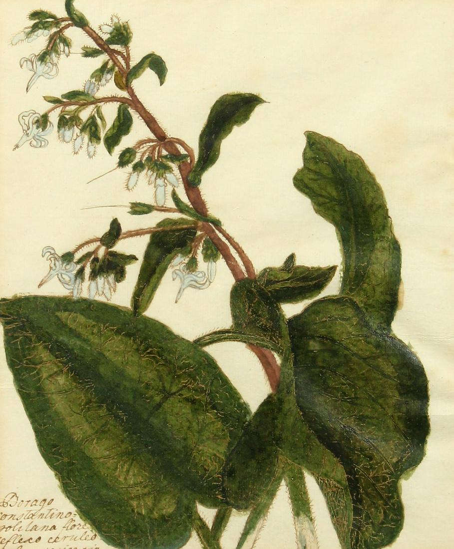 German School 18/19th Century, A set of four hand (1 of 10)