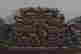 item-123535401=2