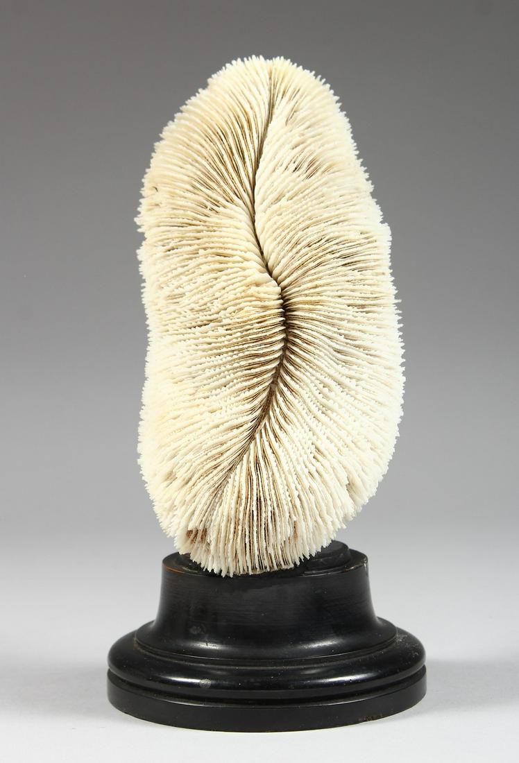 A CORAL SPECIMEN, 8ins on a circular base.: A CORAL SPECIMEN, 8ins on a circular base.