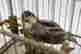item-131036282=3