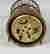 item-131036419=5