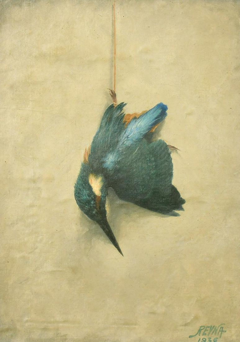 Reyna, Circa 1936, Continental School, a study of a dead kingfisher, oil on canvas laid down,: Reyna, Circa 1936, Continental School, a study of a dead kingfisher, oil on canvas laid down, signed, 15" x 11.25" (38 x 28cm).