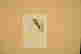 item-131618414=2