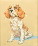 Kay Nixon (1894-1988) British, a study of a King Charles Spaniel, watercolour and charcoal, signed,