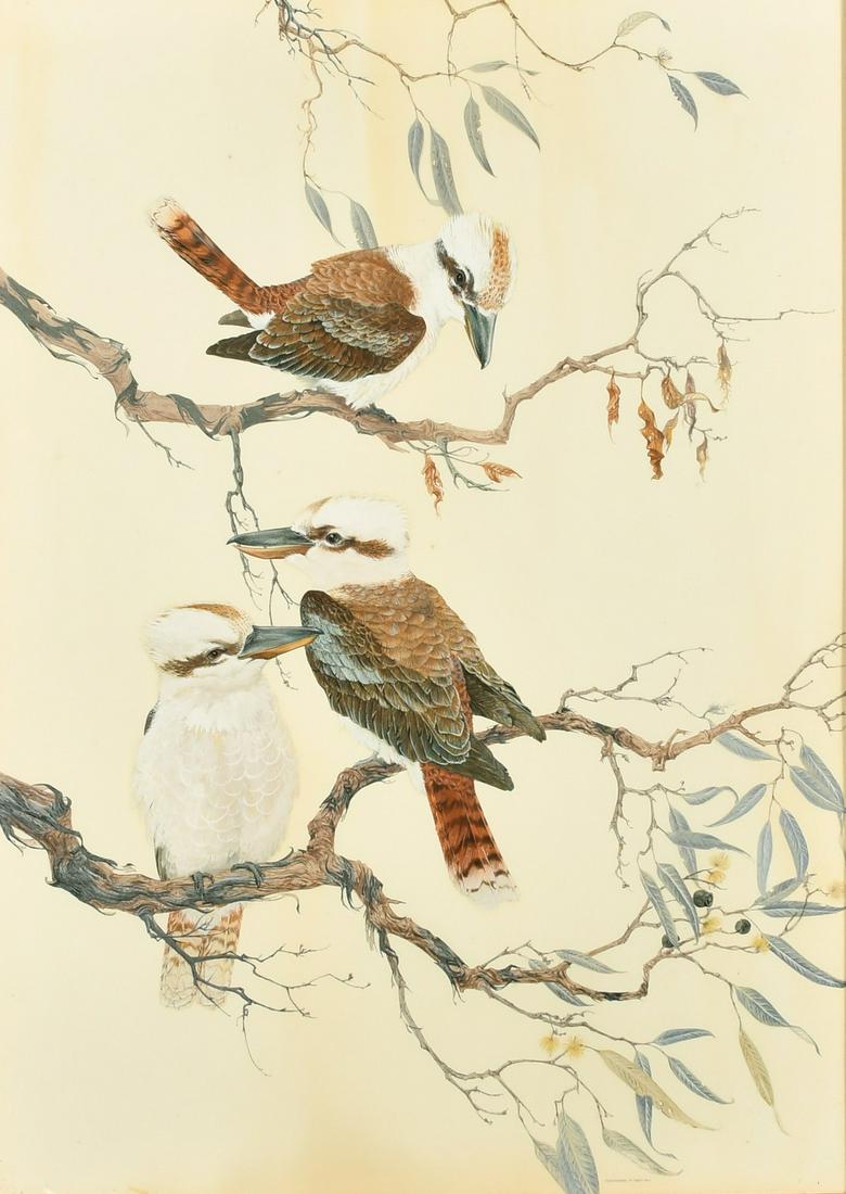 Robin Hill (b. 1932) Australian, 'Kookaburras', a group of three birds, watercolour and gouache,: Robin Hill (b. 1932) Australian, 'Kookaburras', a group of three birds, watercolour and gouache, signed and inscribed, 28" x 20.5" (71 x 52cm).