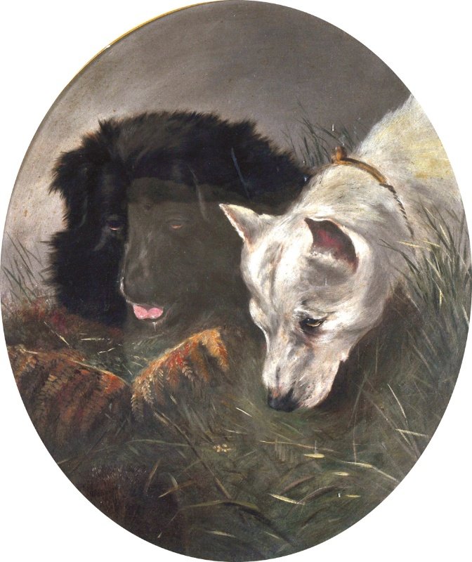 T. W. EARL (1815-1885) BRITISH: T. W. EARL (1815-1885) BRITISH Two dogs looking for a rabbit. Oil on canvas. Oval.20.5 x 17.5ins.
