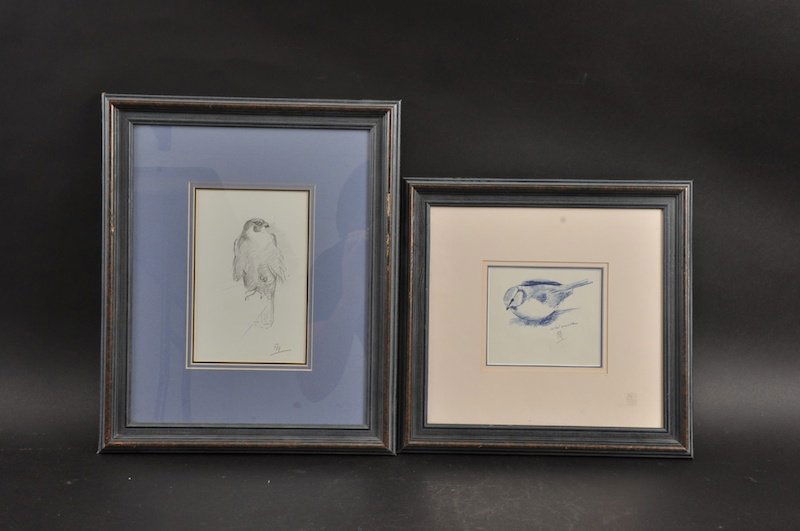 PHILIP RICKMAN. A sketch of a blue tit and a falcon.: PHILIP RICKMAN. A sketch of a blue tit and a falcon. Monogrammed.