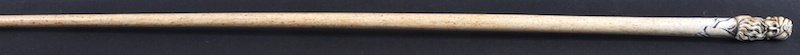 A 19TH CENTURY WHALEBONE CANE with ivory carved: A 19TH CENTURY WHALEBONE CANE with ivory carved “SARACENS HEAD” handle. 39ins long. £400-500.