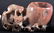 A SET OF FOUR EARLY 20TH CENTURY CHINESE HARDSTONE CUPS - 2