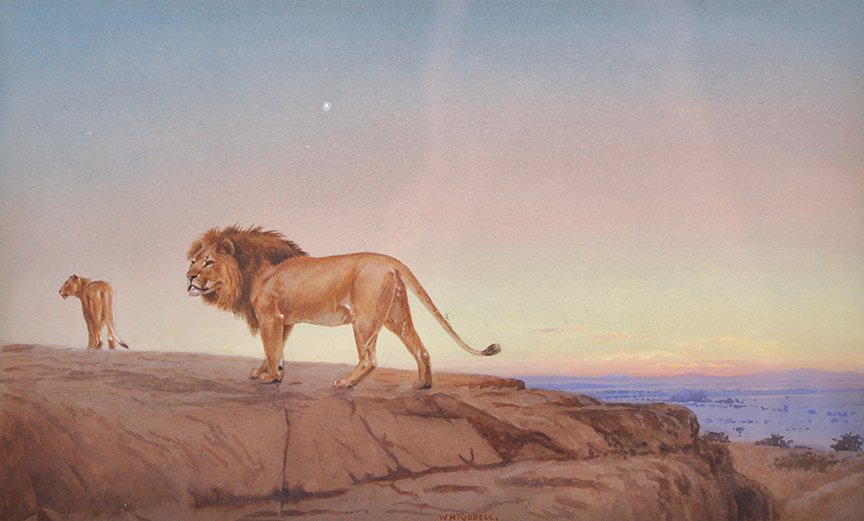 William Hutton Riddell (1880-1947) British. ‘Dawn’,: William Hutton Riddell (1880-1947) British. ‘Dawn’, Lions in a landscape, Watercolour, Signed, 8” x 13”. £50-£100 .