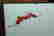item-42720266=5