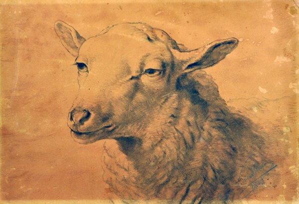 19th Century Dutch School. Head of a Ewe, Watercolour: 19th Century Dutch School. Head of a Ewe, Watercolour and Pencil, Indistinctly Signed, Unframed, 10.5" x 14.5".