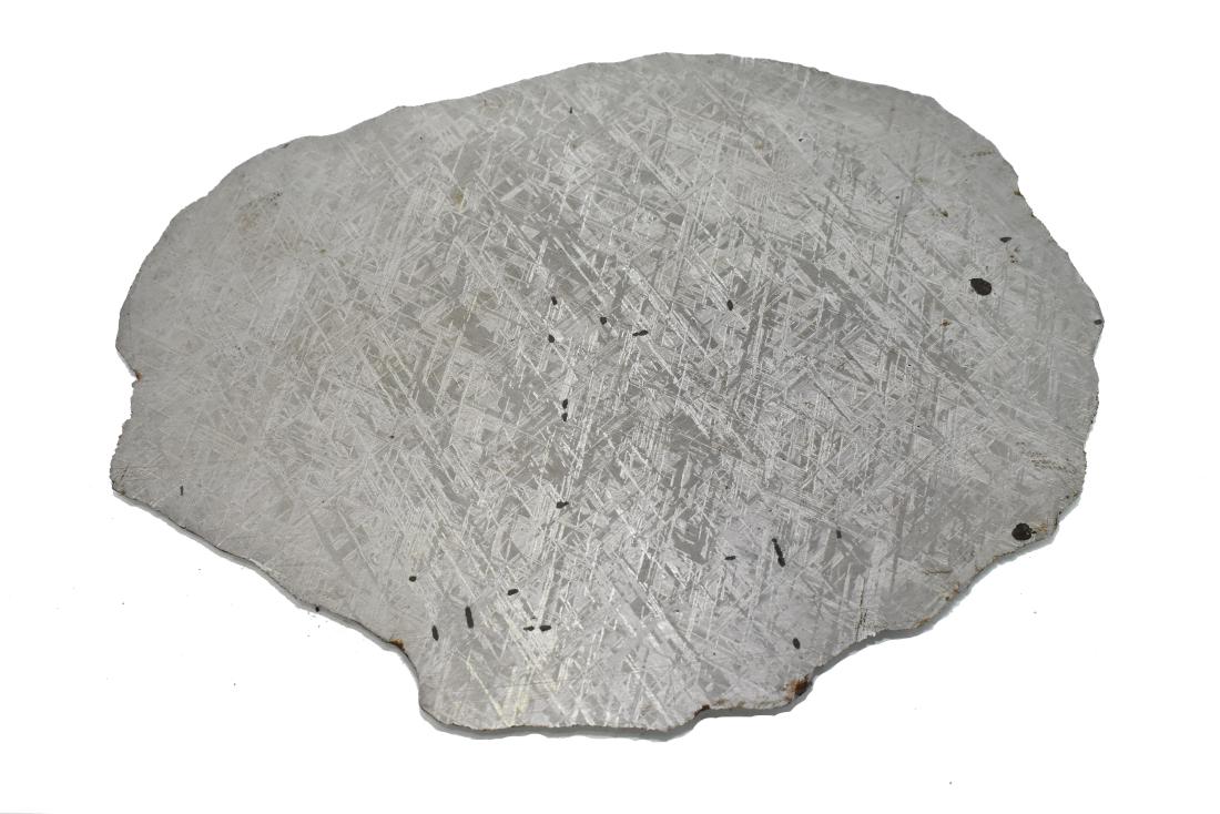 Gibeon Iron IVA Meteorite Slice 1741 grams: Gibeon Iron IVA meteorite slice. 1741 grams. Measures approx. 27cm x 21cm x 4.5mm. Gibeon was found in Namibia 1836. This meteorite collection was reviewed and authenticated by Dr. Paul P. Sipiera, a