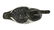 Bluebill Drake Duck Decoy - 3