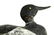 Bluebill Drake Duck Decoy - 5