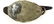 Canvasback Drake Duck Decoy - 4