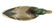 Mallard Drake Duck Decoy - 3
