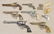 Box Lot of Toy Guns - 2