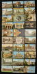 Lot Of 30 Panama Pacific Exposition 1915 Postcards