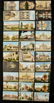 Lot Of 30 Panama Pacific Exposition 1915 Postcards