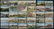 Lot of 30 Panama Pacific Exposition Postcards