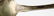 WM. A. Rogers Antique Spoons IL, MI, IA (4) - 5