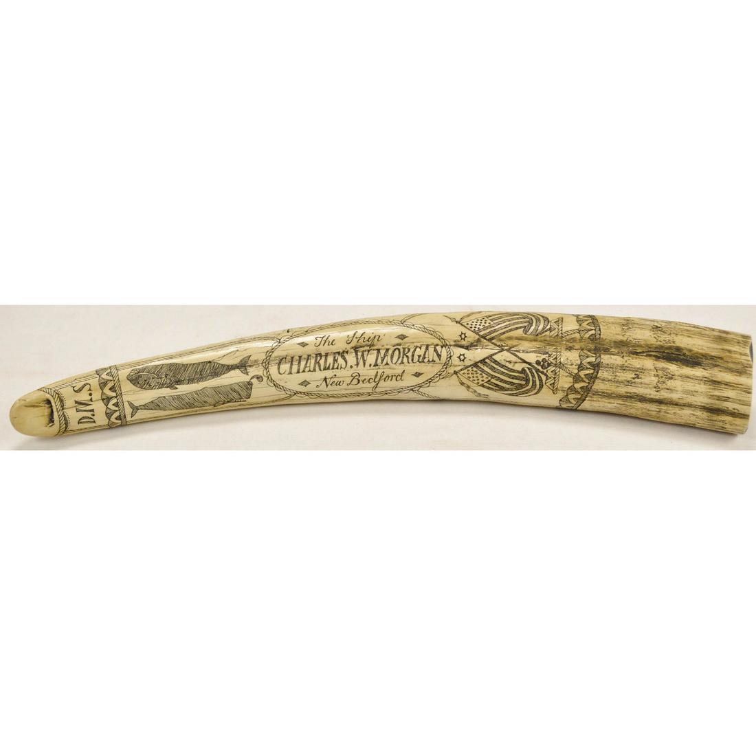 Resin Scrimshaw Horn Charles W. Morgan: Resin Scrimshaw Horn Charles W. Morgan, Engraved "The Ship Charles W. Morgan New Bedford". 21"