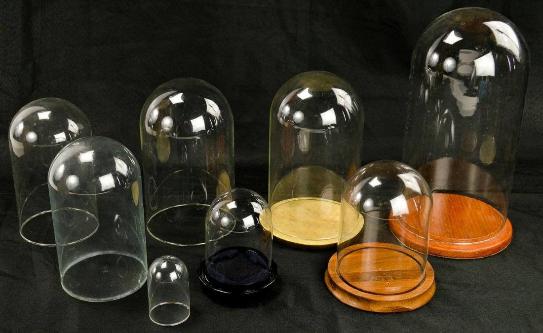 Lot of Glass Domes and Display Cases (1 of 3)
