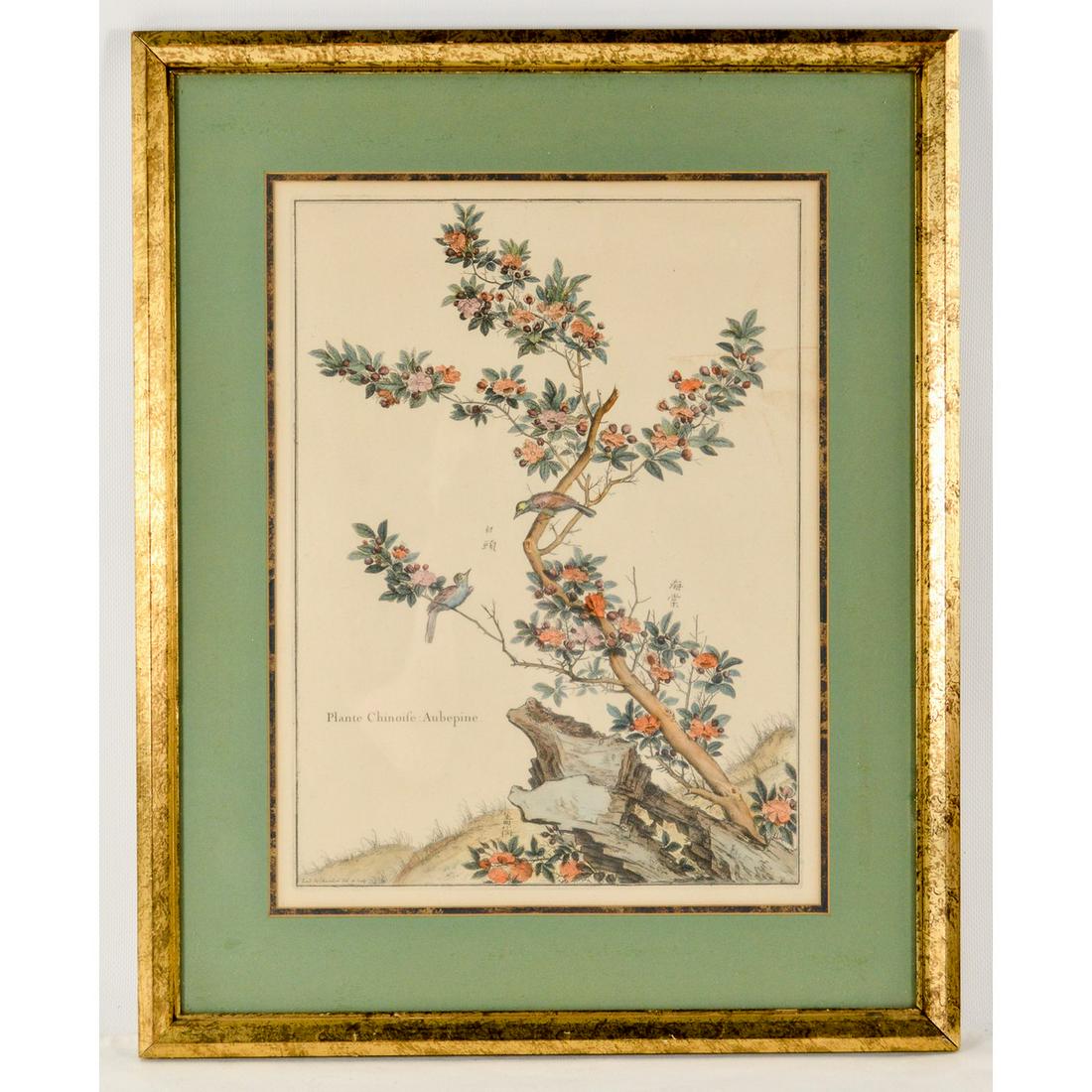 Framed Hand colored Engraving - Ludwig Chastillon (1 of 4)