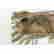 item-130990493=2