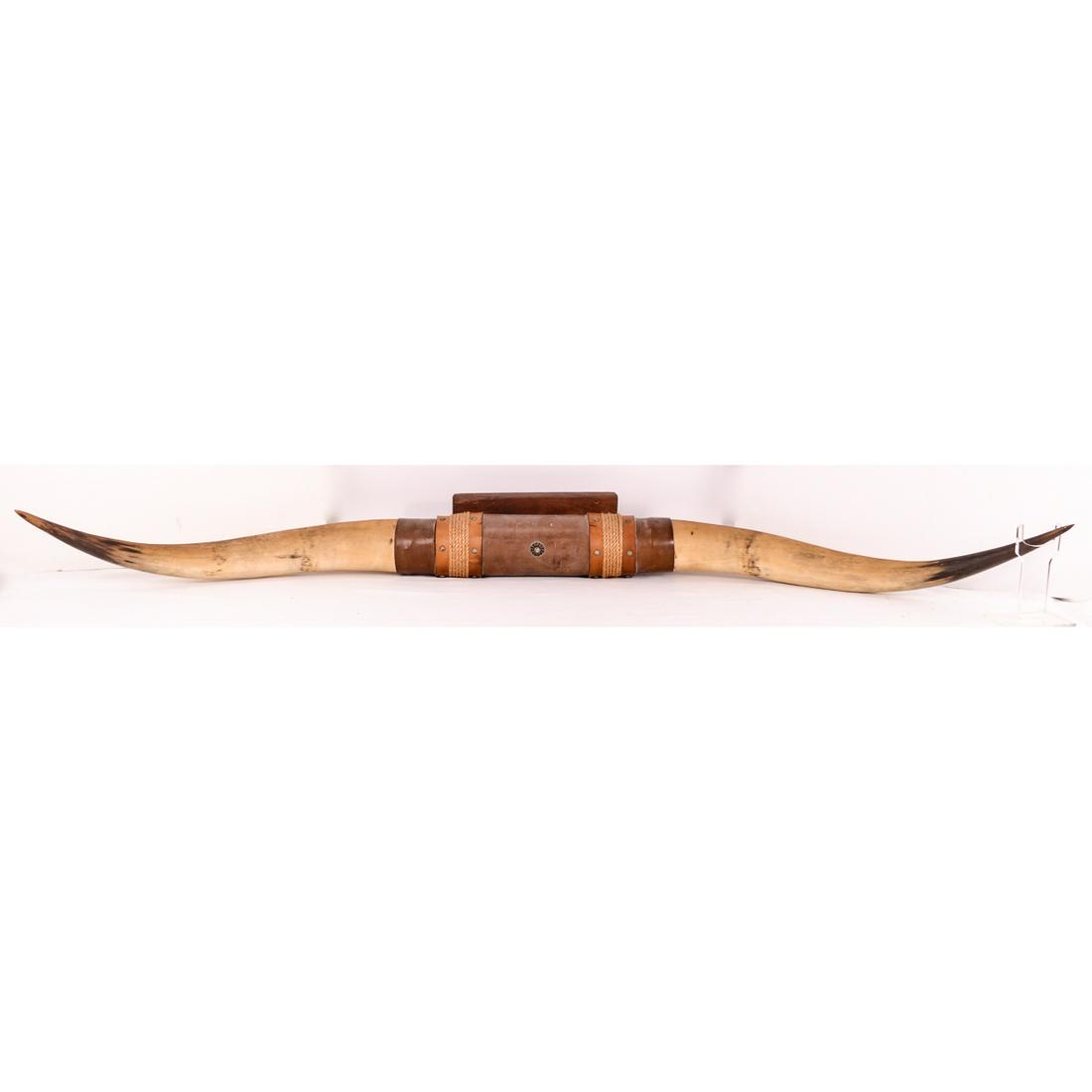 Vintage Very Large Bull Long Horn Mount 68 1/4" (1 of 5)