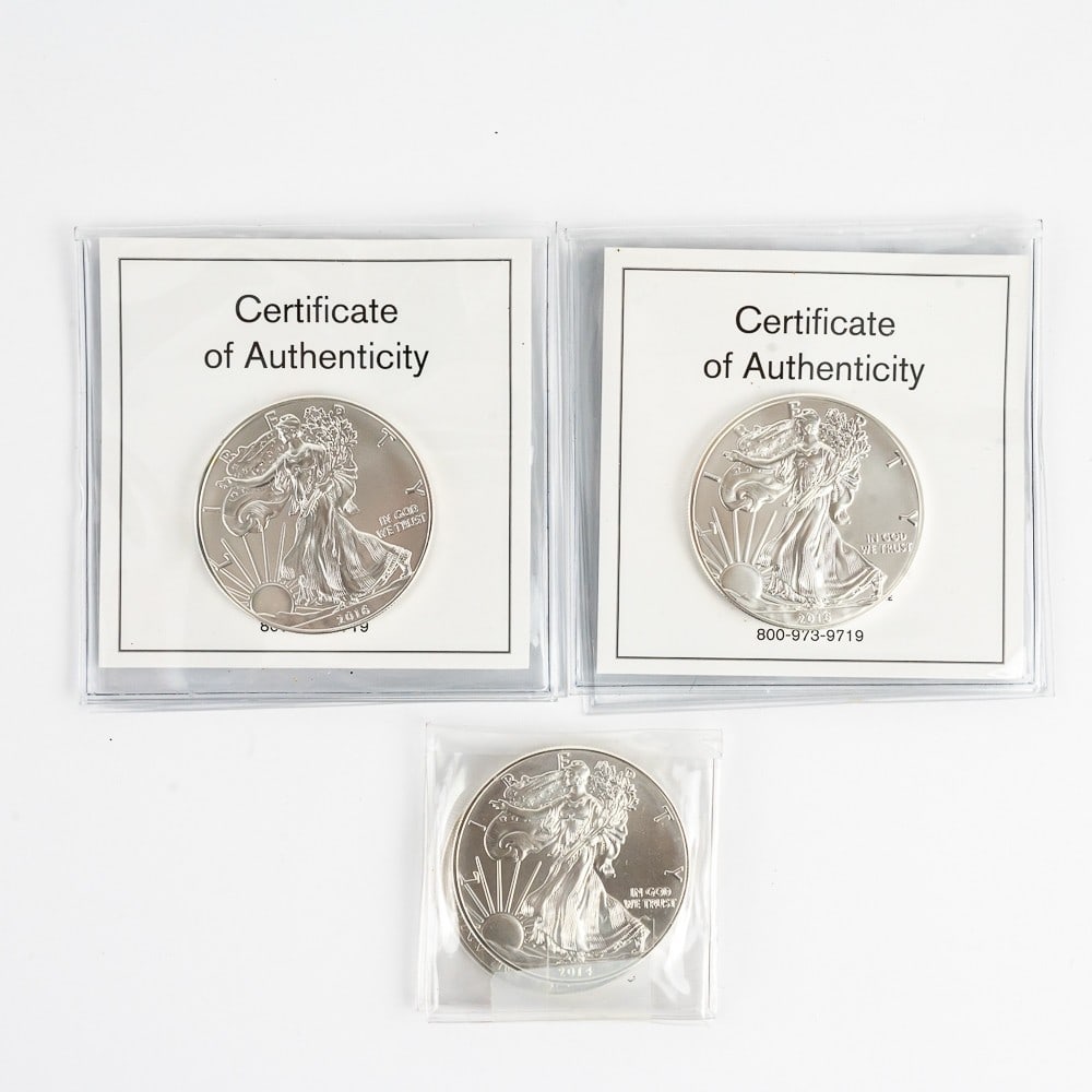 (2) 2014 & (2) 2016 American Eagle Silver Dollars (1 of 8)